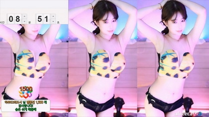 Loucura de Gatos KBJ: Vídeo Completo de Crazy Cats